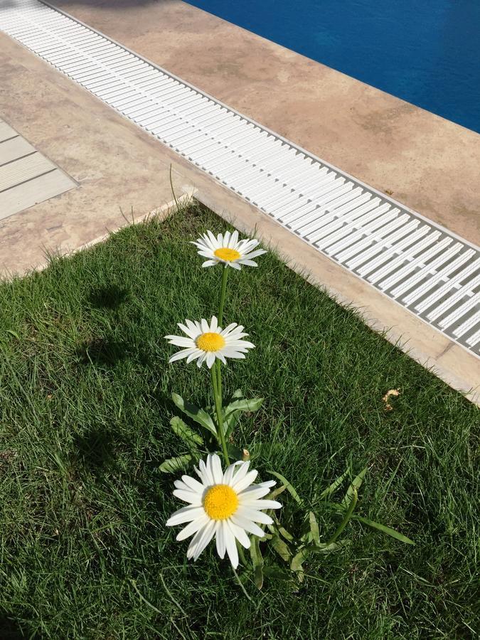 Casa Pallet Hotel (Adults Only) Dalyan Ngoại thất bức ảnh